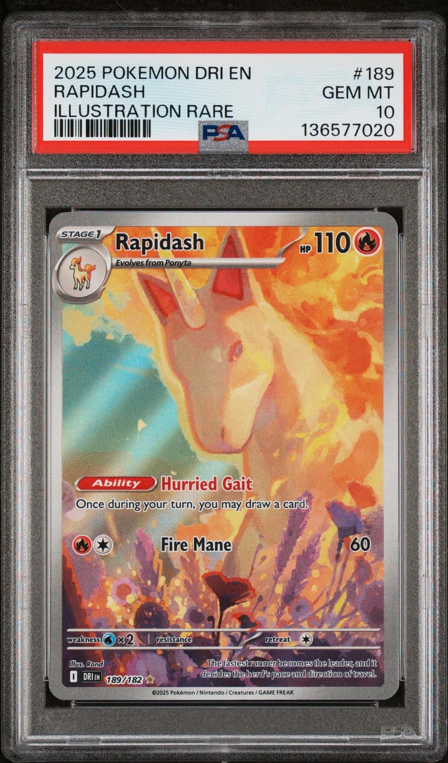 Rapidash