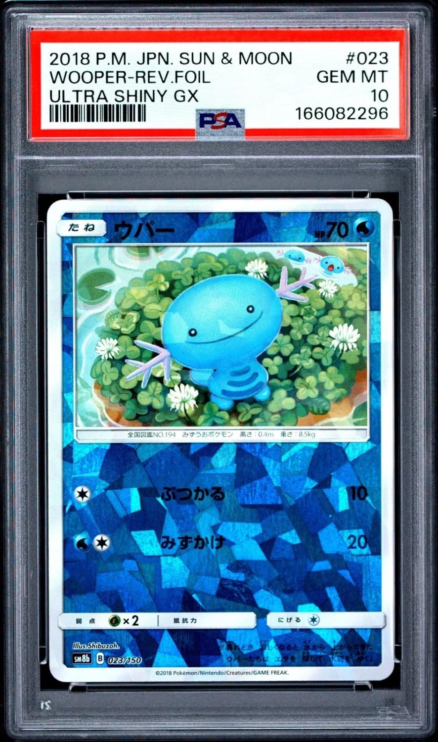 Wooper