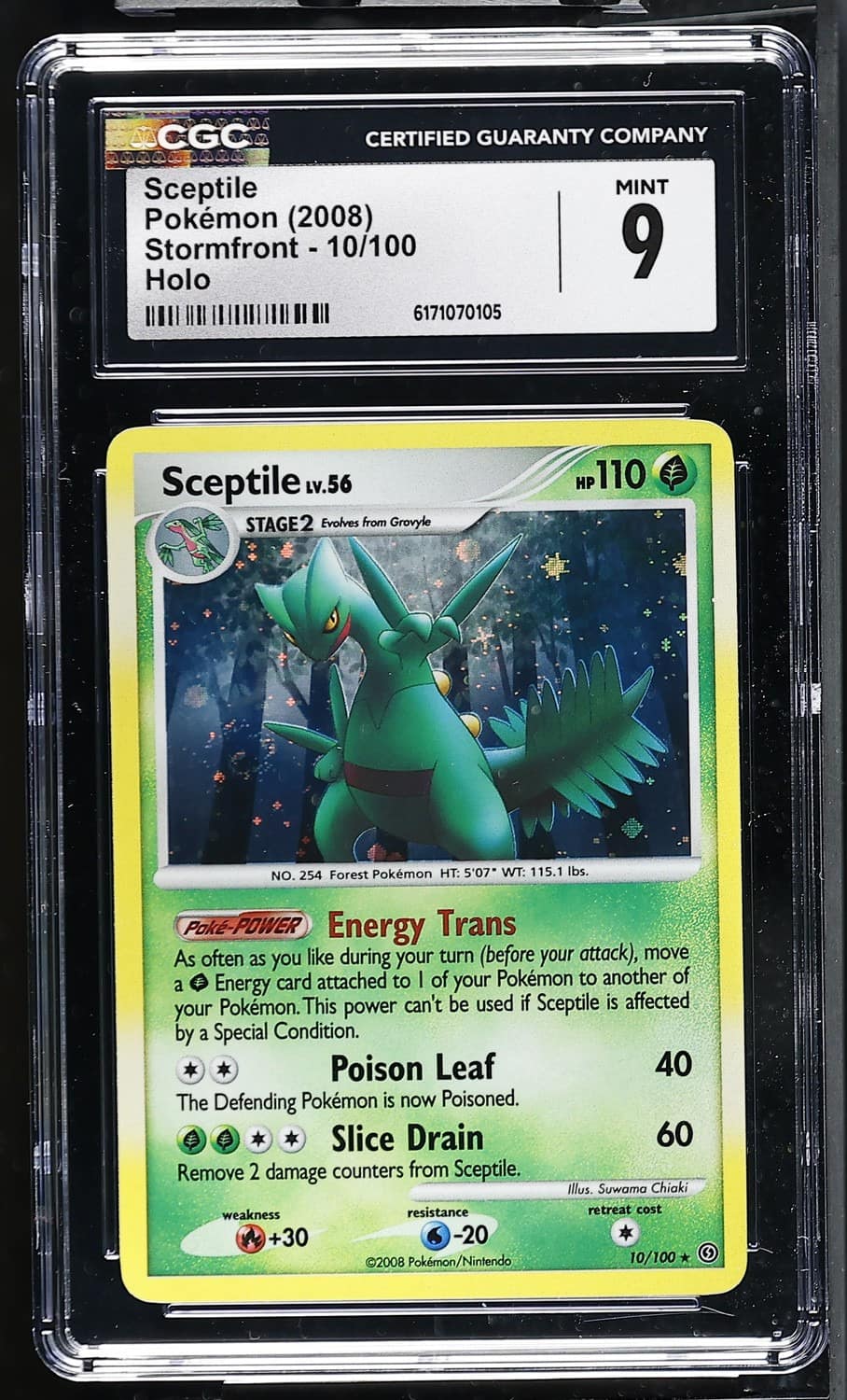 Sceptile