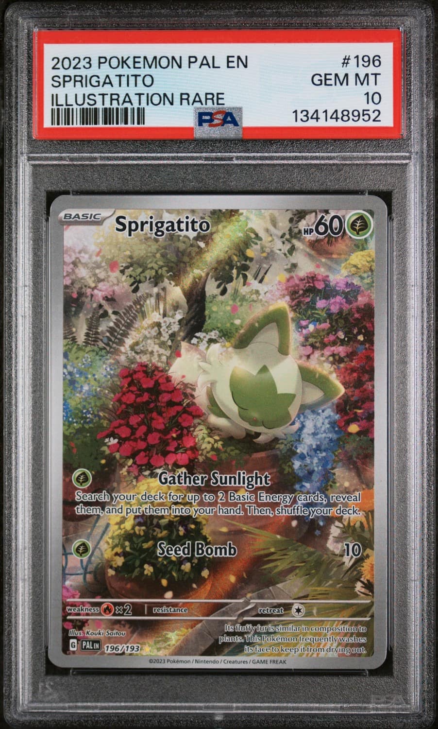 Sprigatito