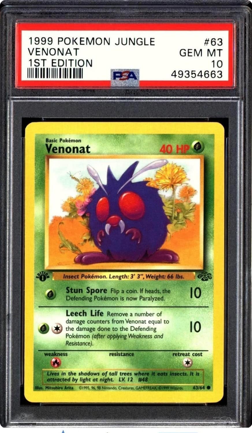 Venonat