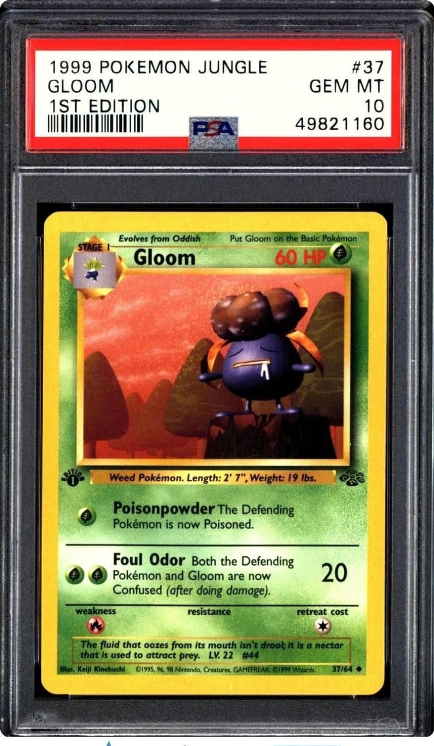 Gloom