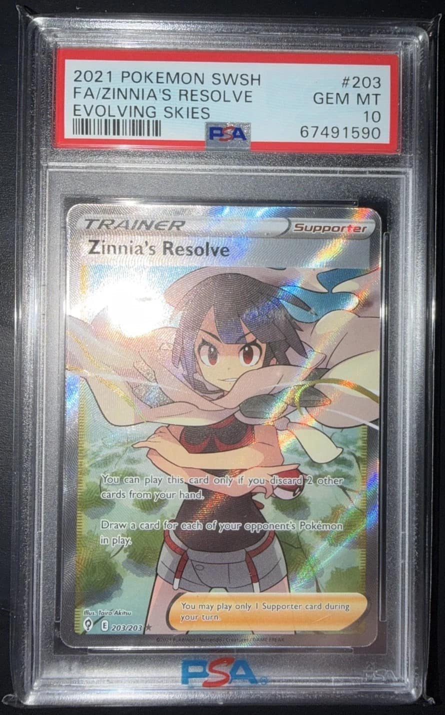 Zinnia'S Resolve