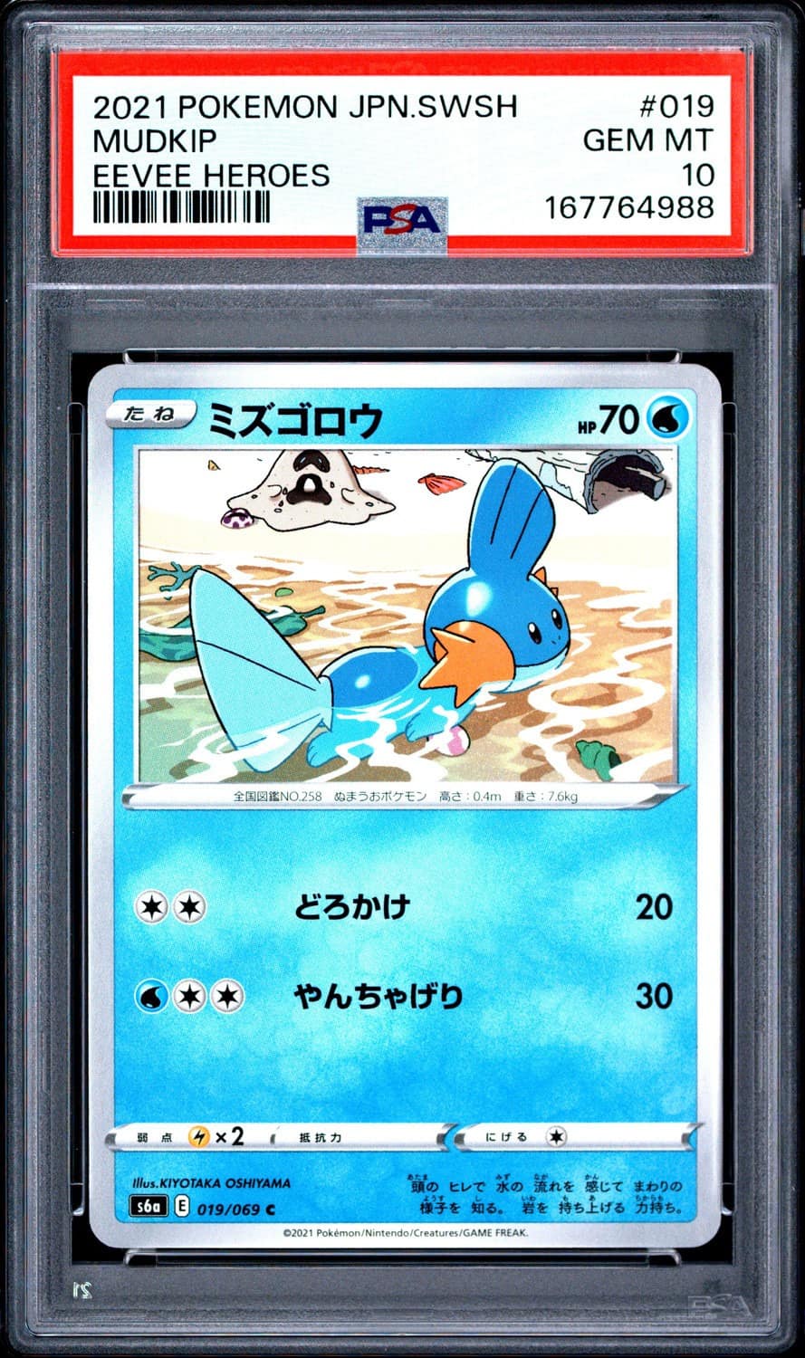 Mudkip