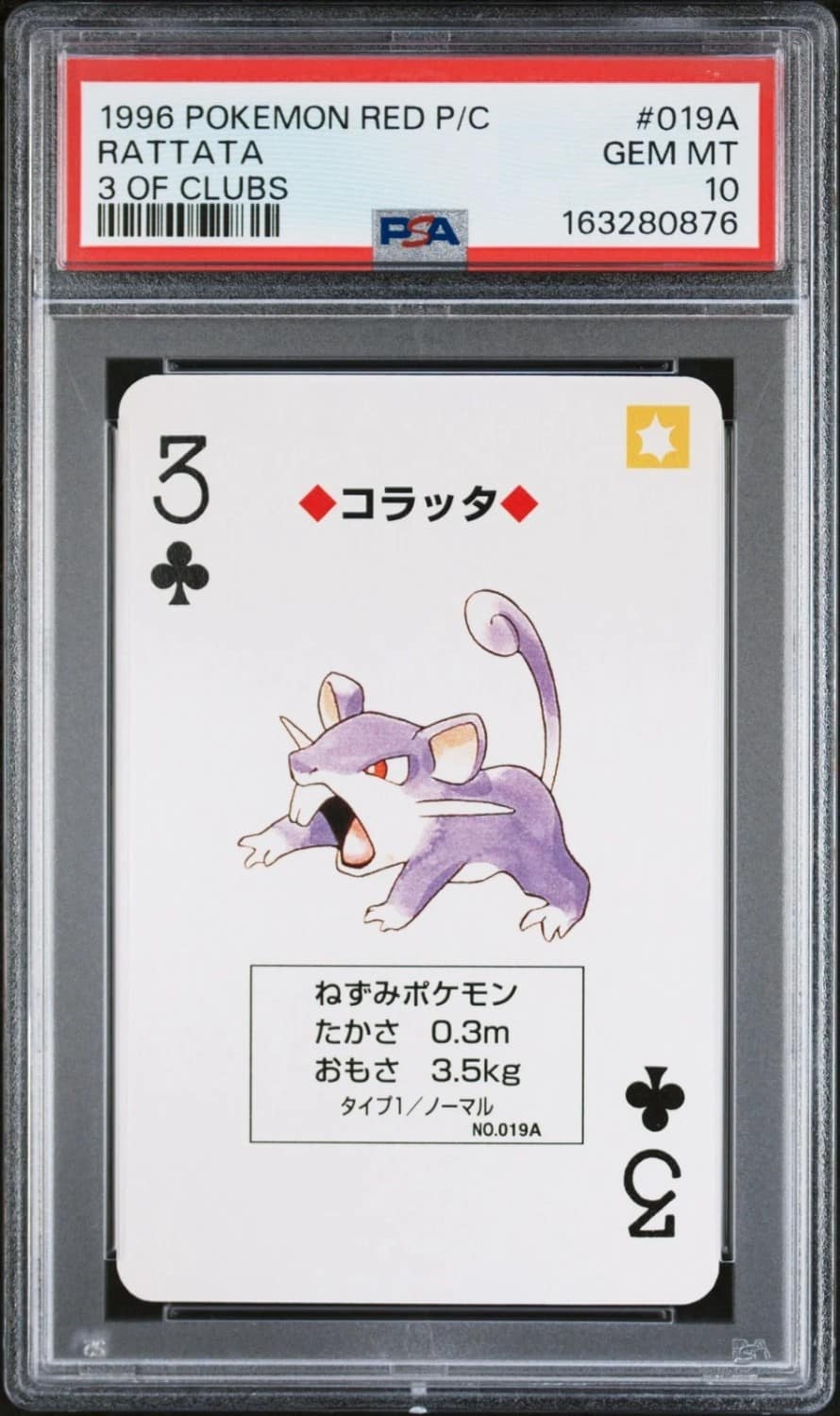 Rattata