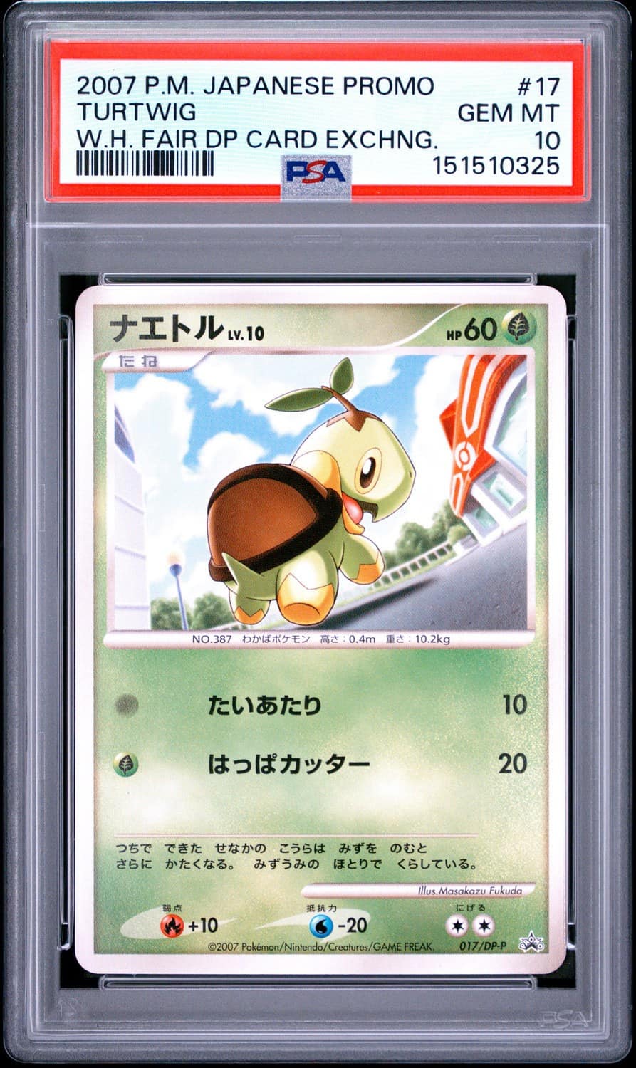 Turtwig