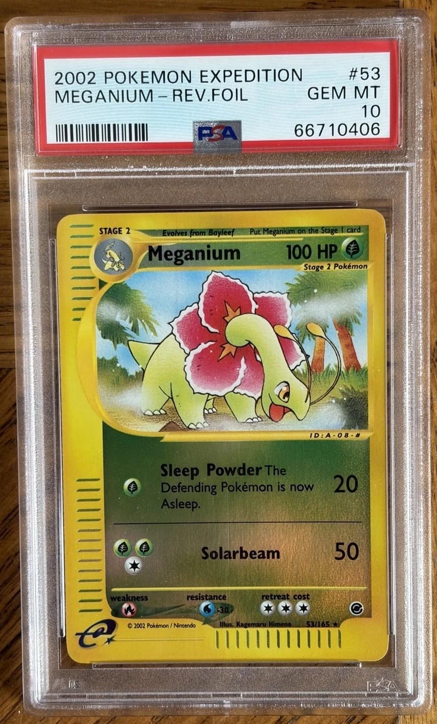 Meganium
