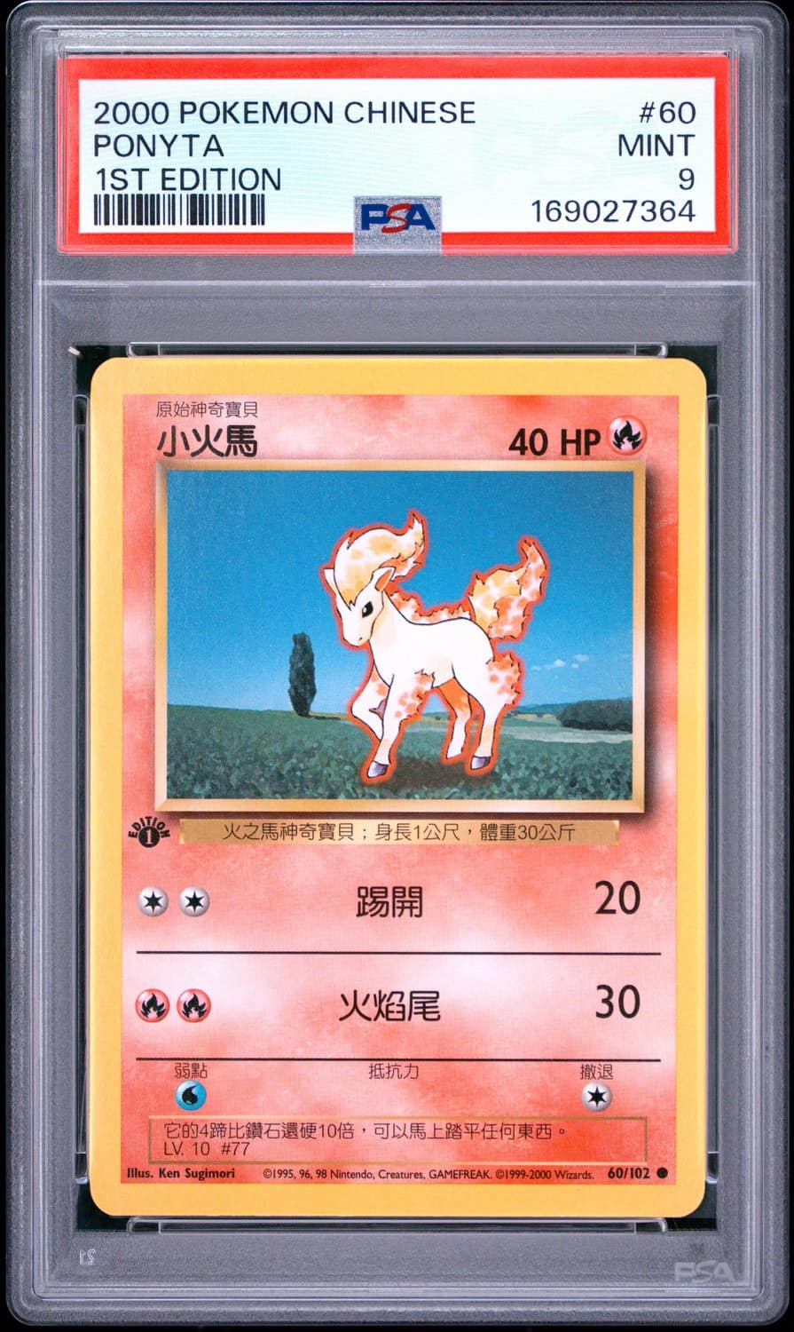 Ponyta