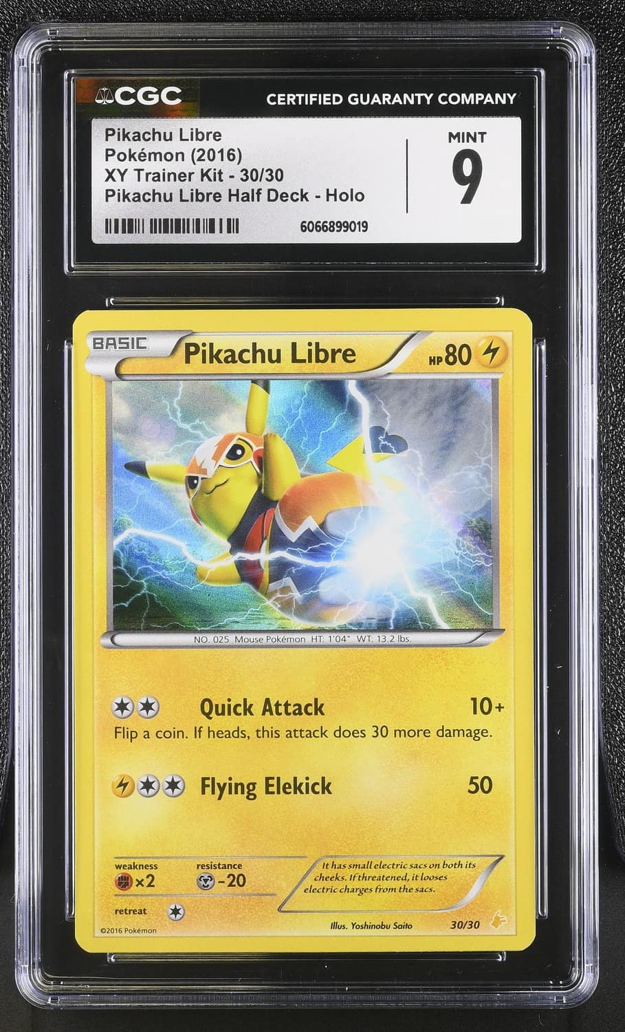 Pikachu Libre