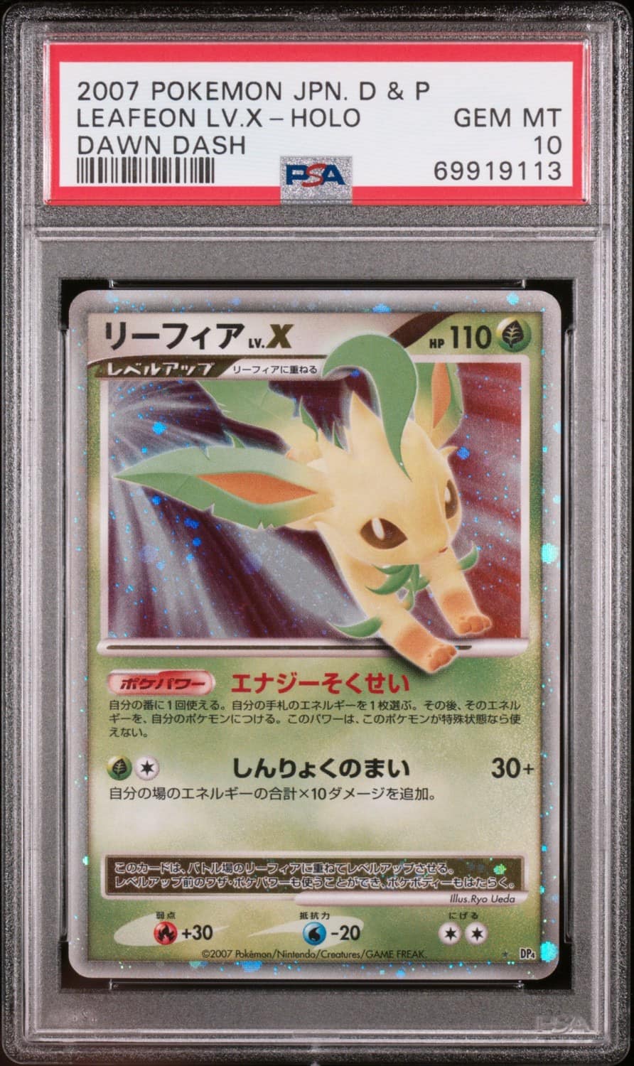 Leafeon Lv X