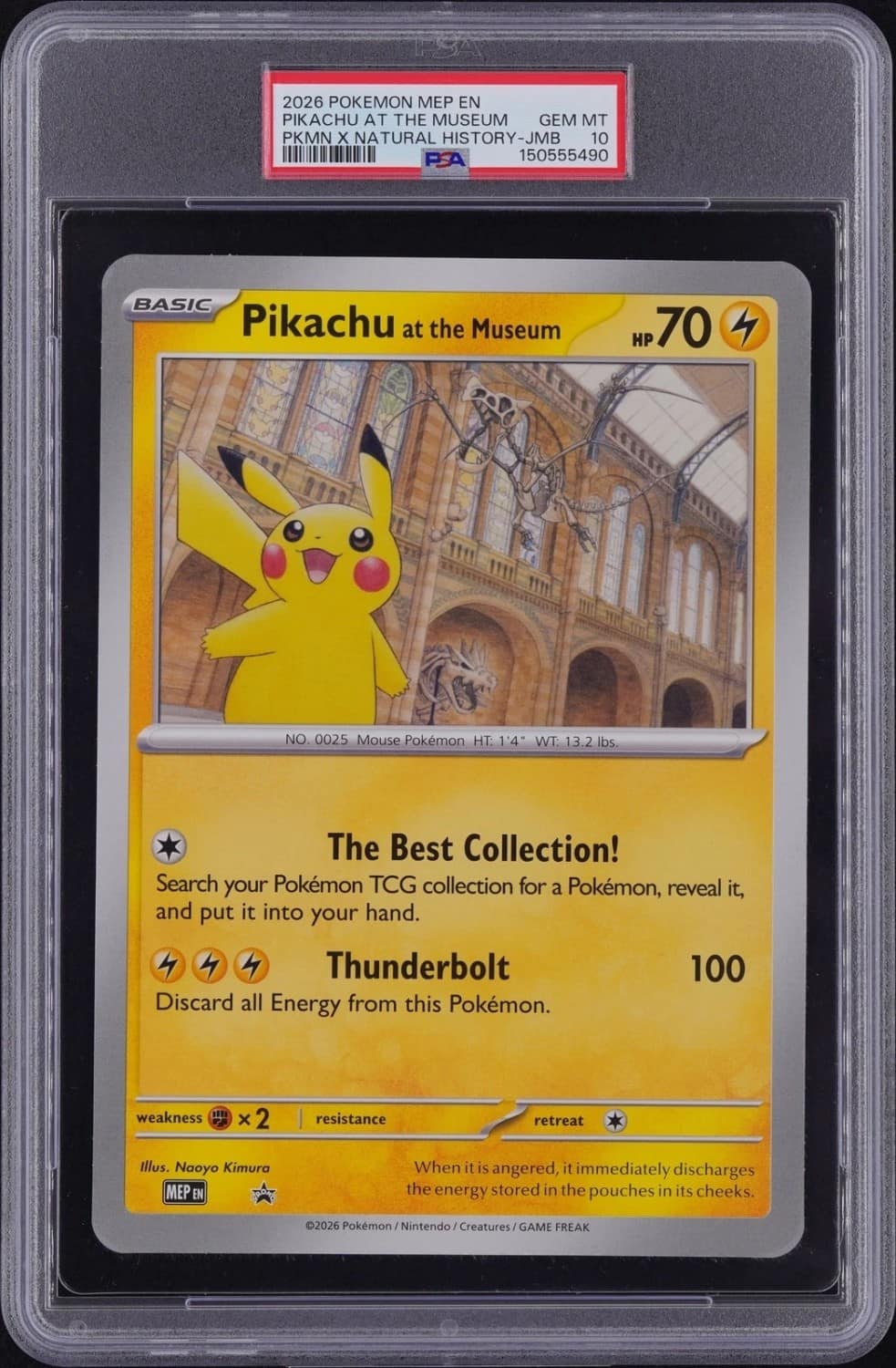 Pikachu At The Museum