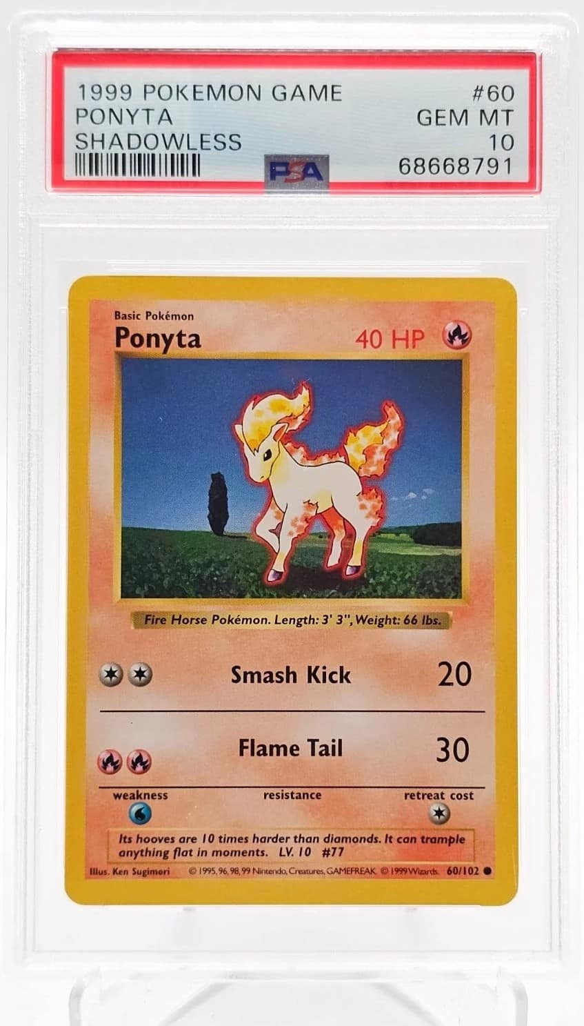 Ponyta
