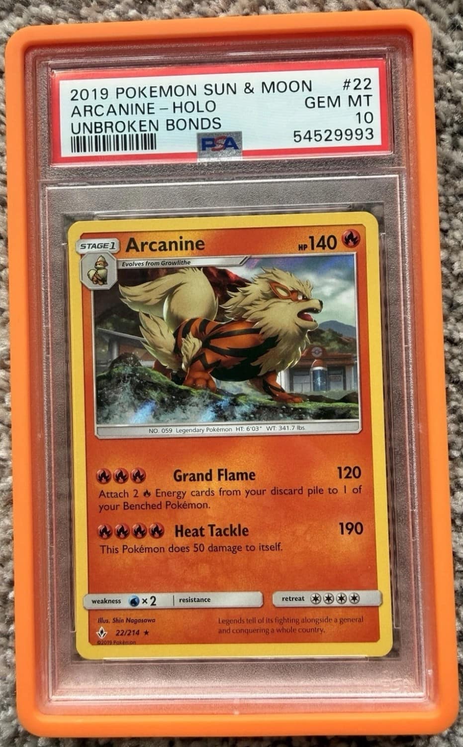 Arcanine