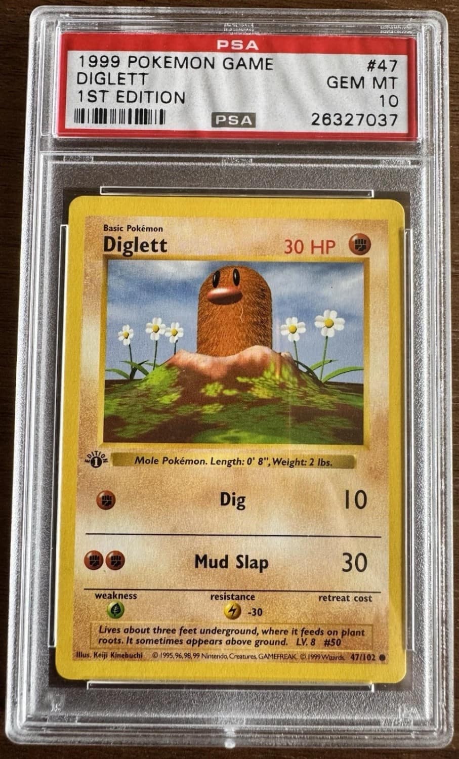 Diglett
