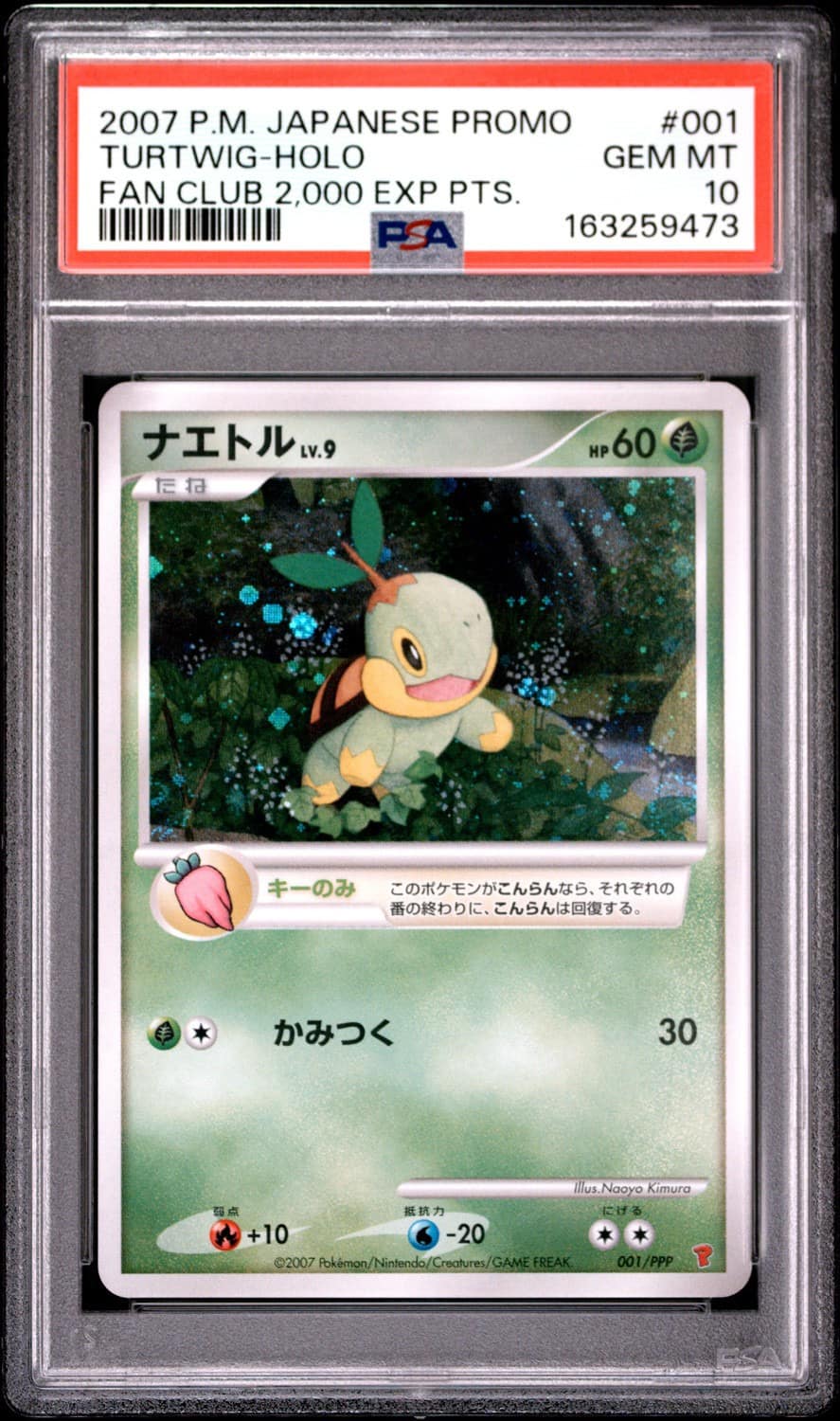 Turtwig