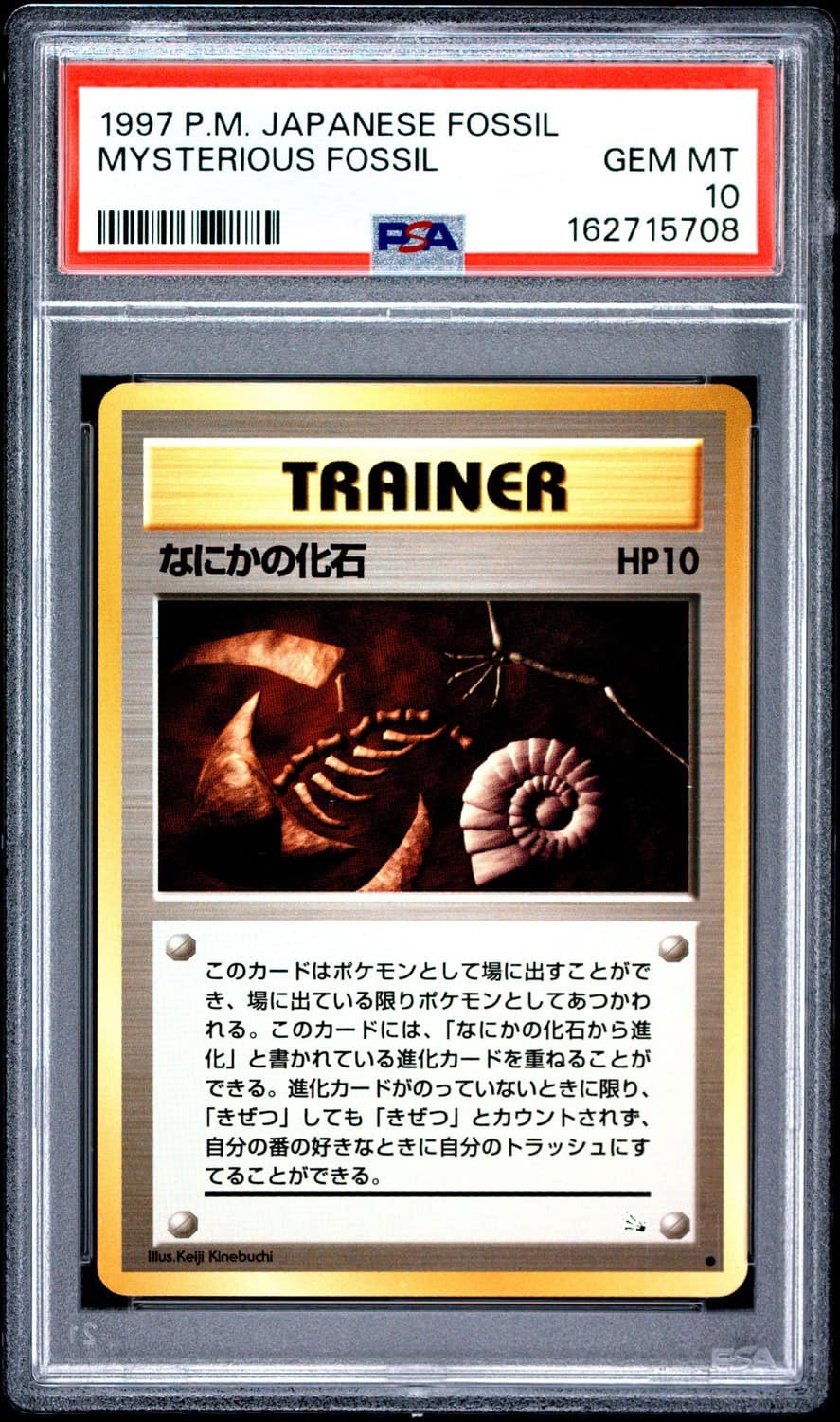 Mysterious Fossil