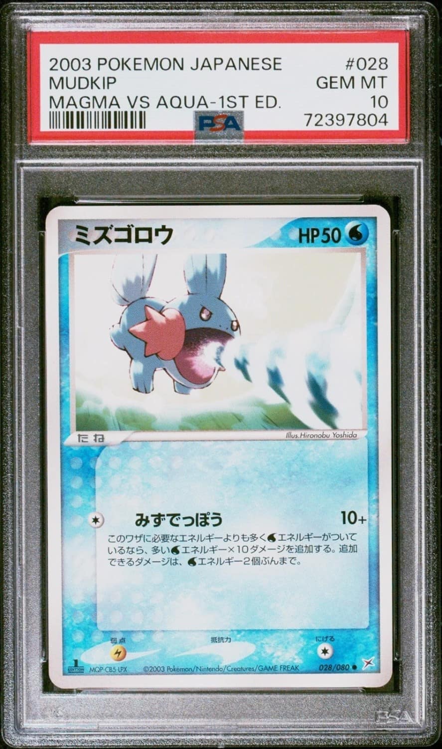 Mudkip