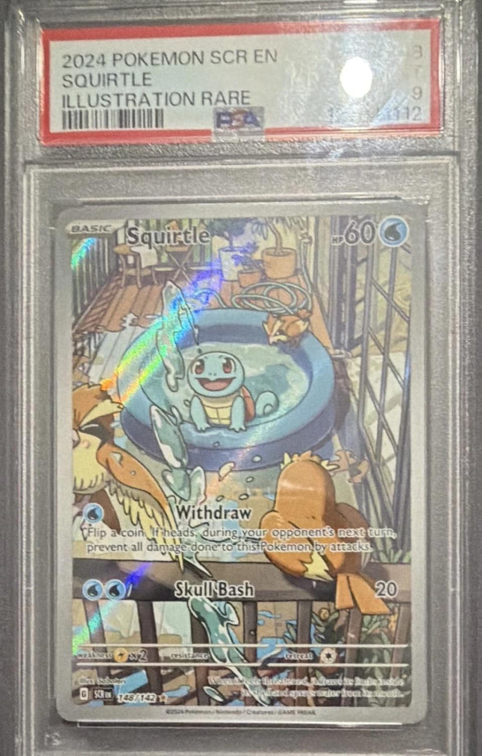 Squirtle