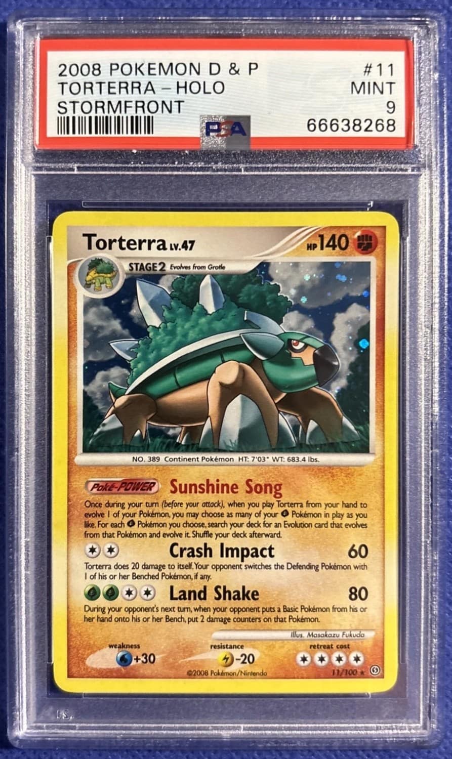 Torterra