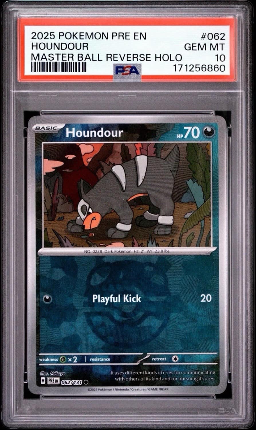 Houndour