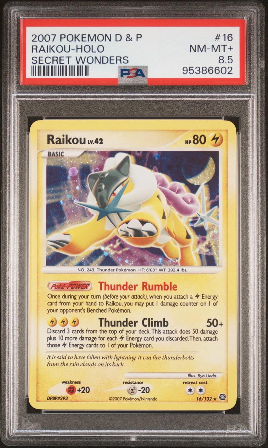 Raikou