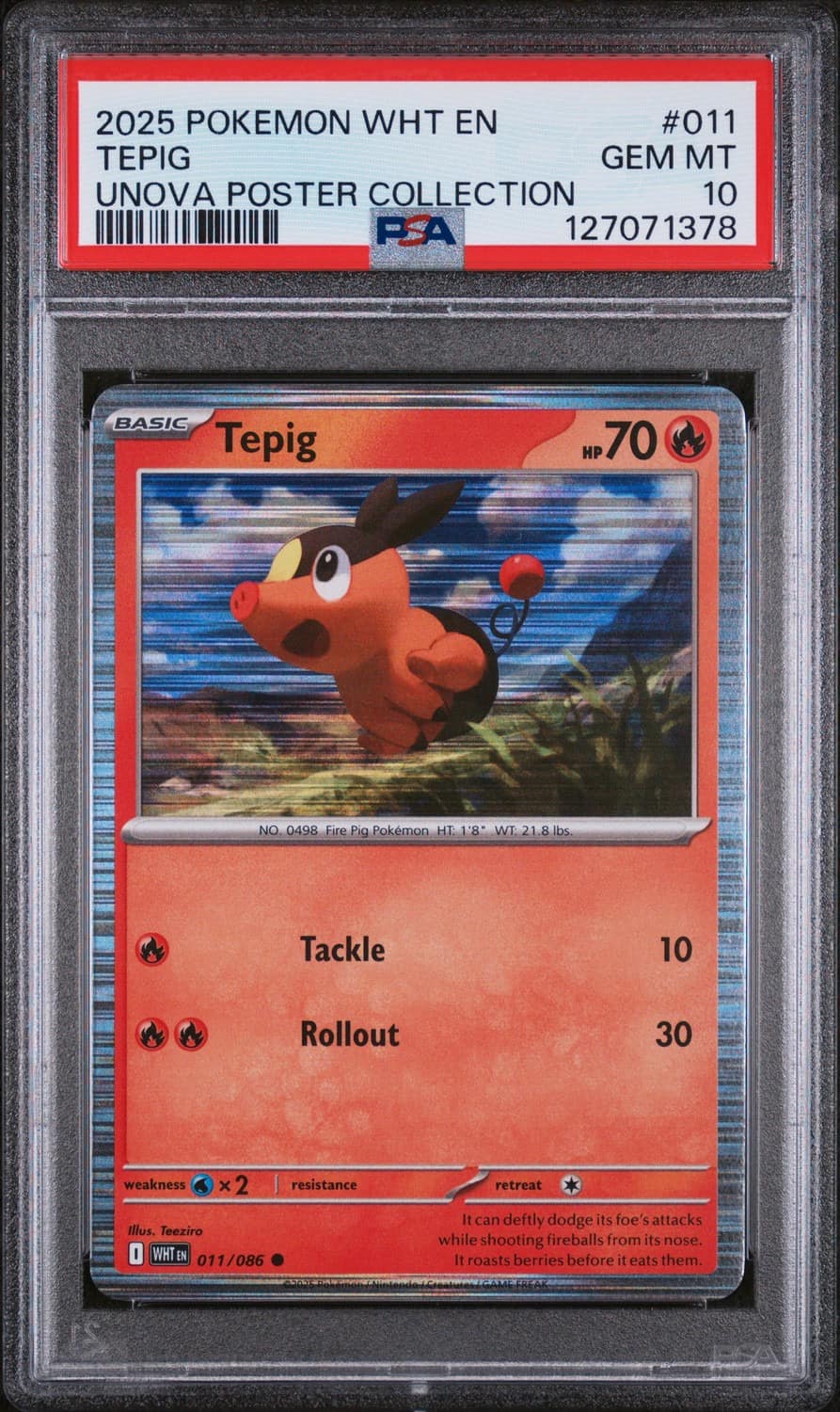 Tepig