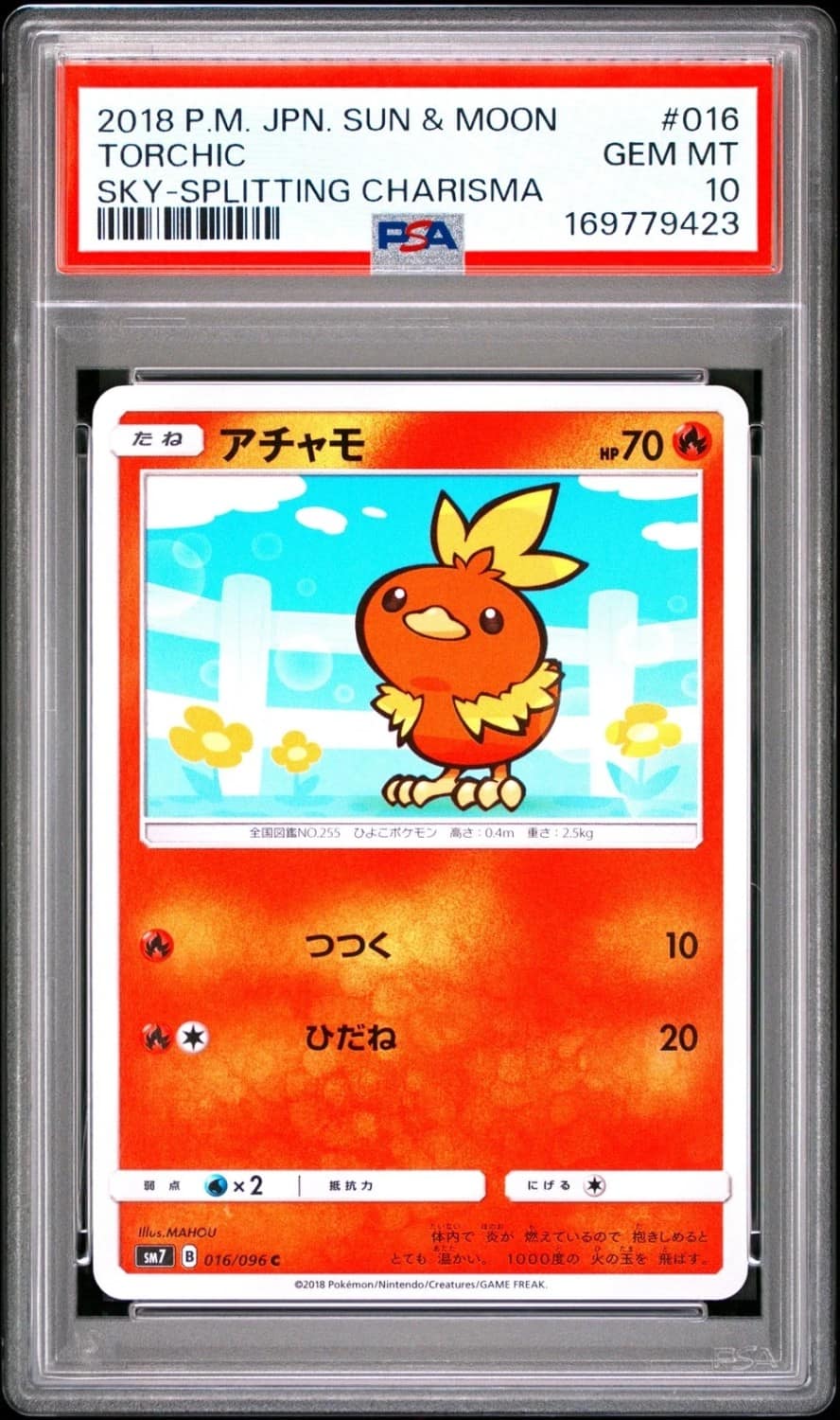 Torchic