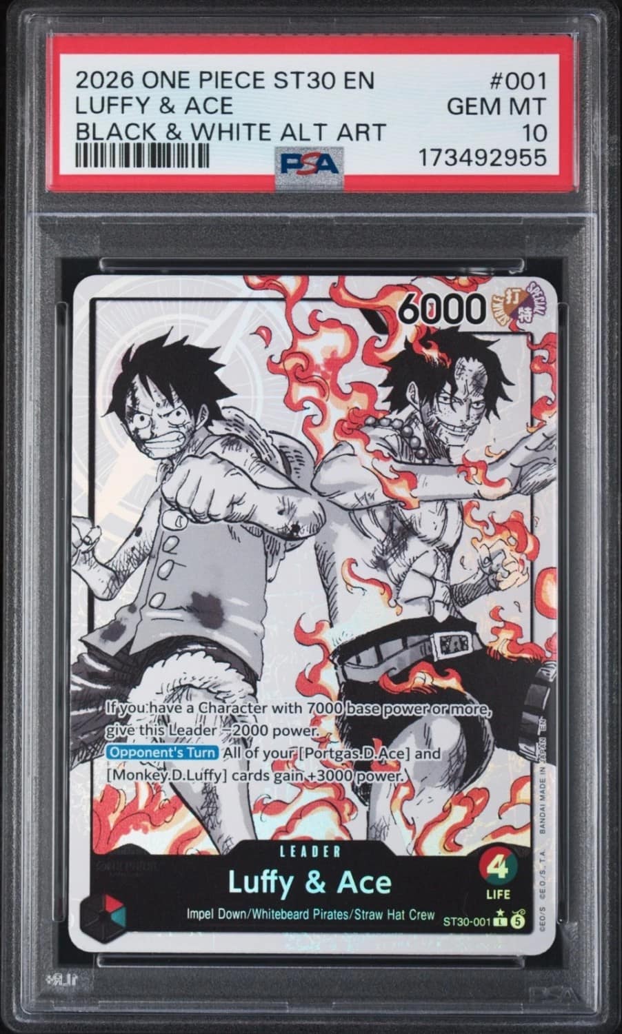 Luffy & Ace