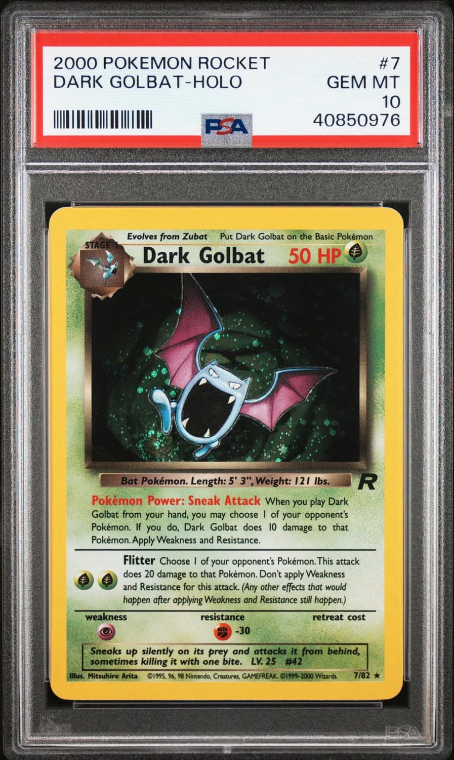 Dark Golbat