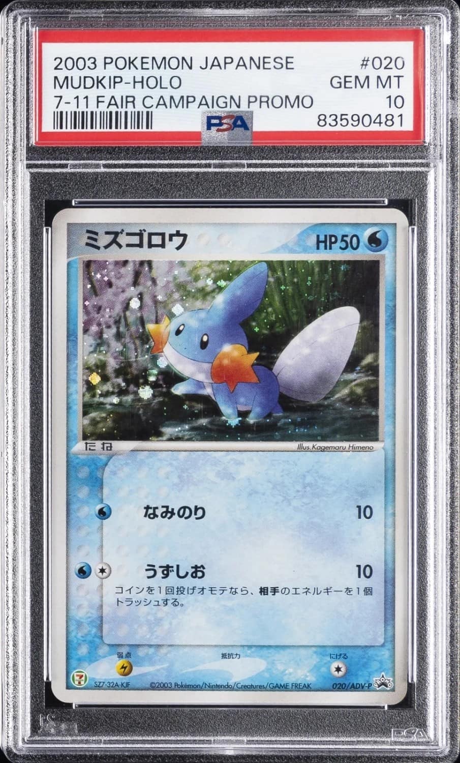 Mudkip