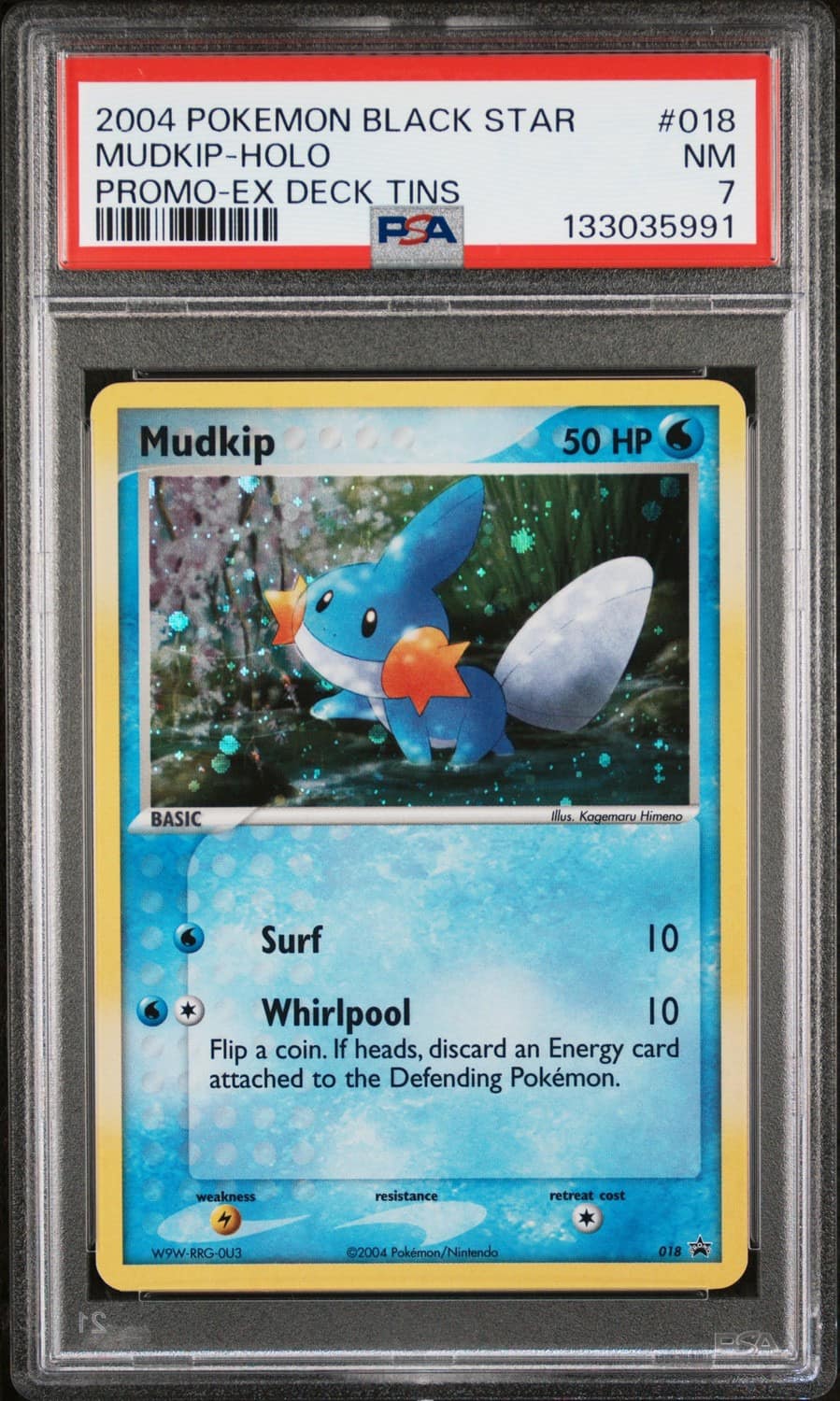 Mudkip