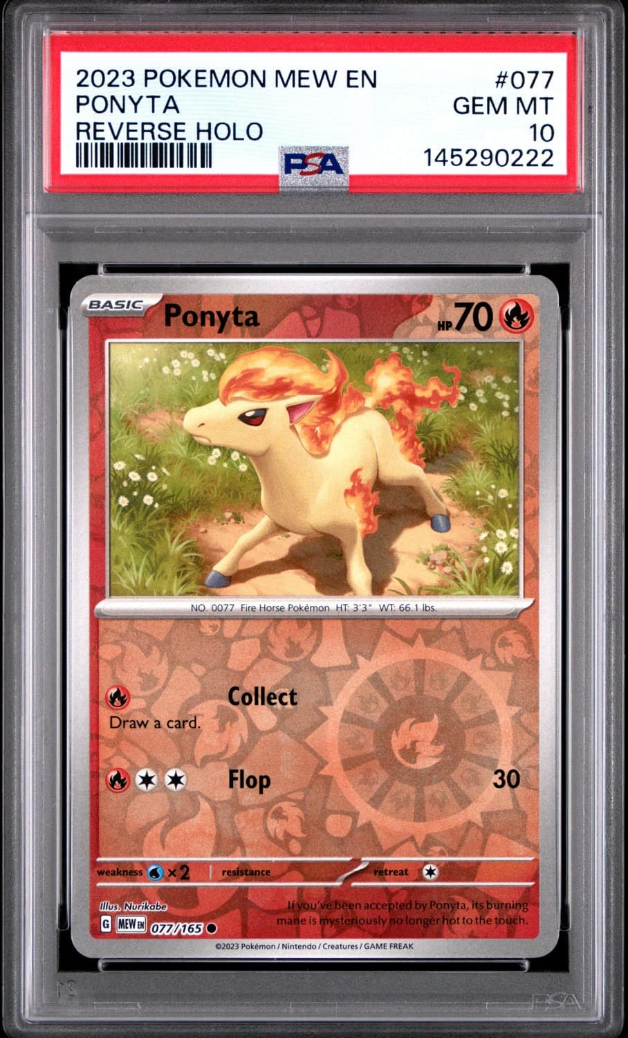 Ponyta