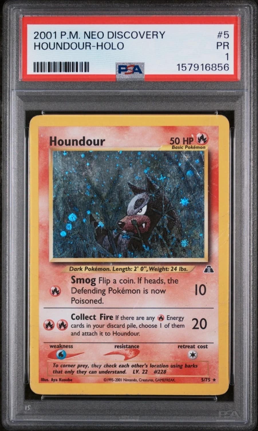 Houndour