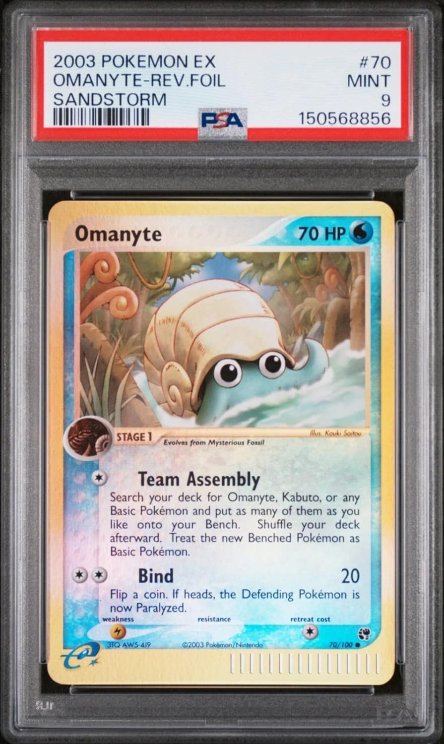 Omanyte