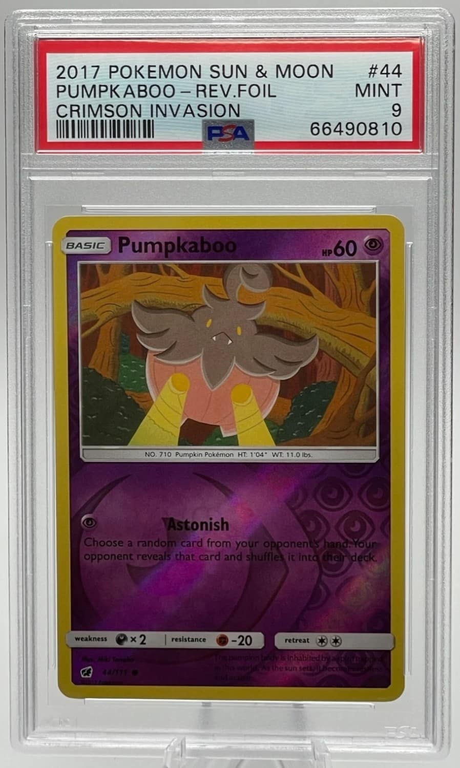 Pumpkaboo