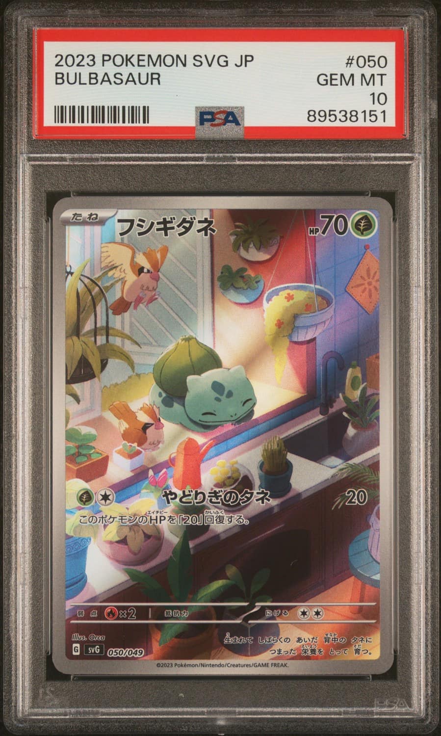 Bulbasaur