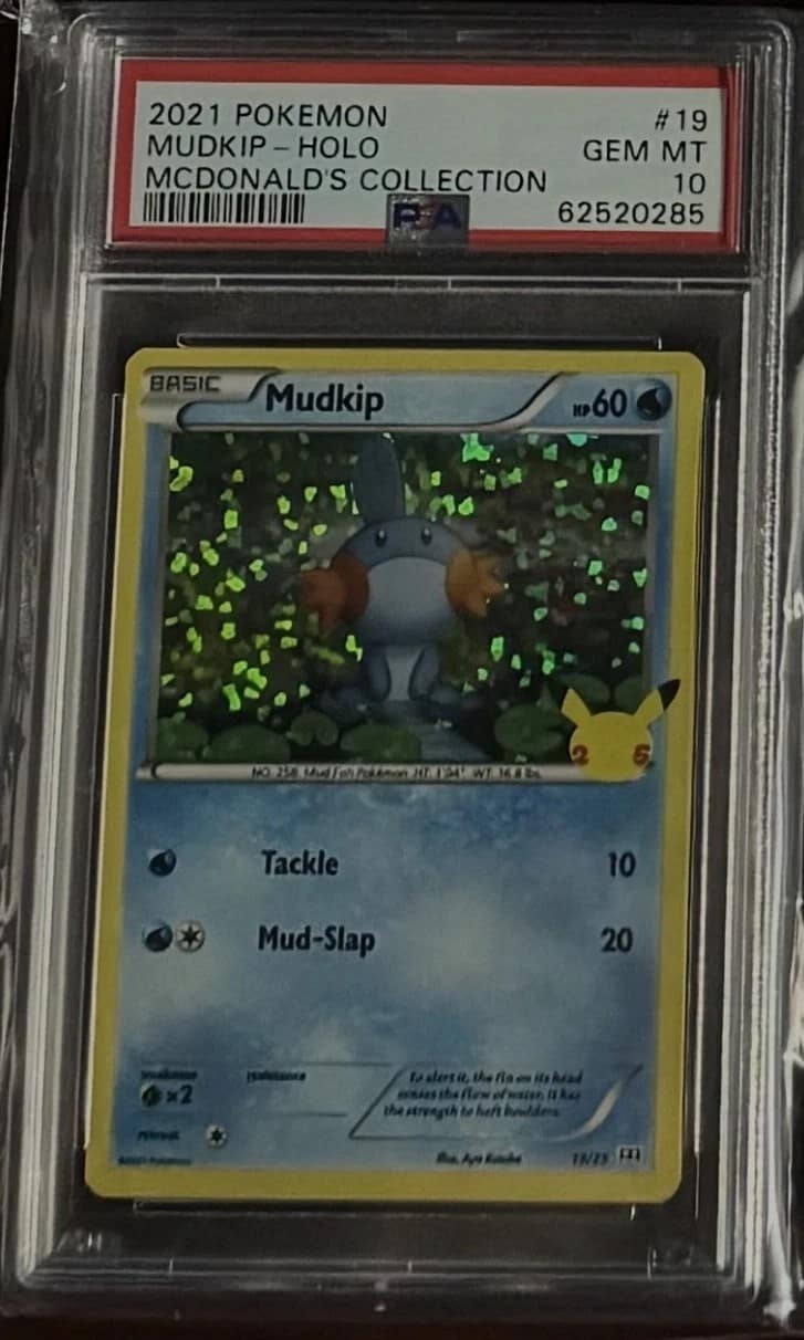 Mudkip