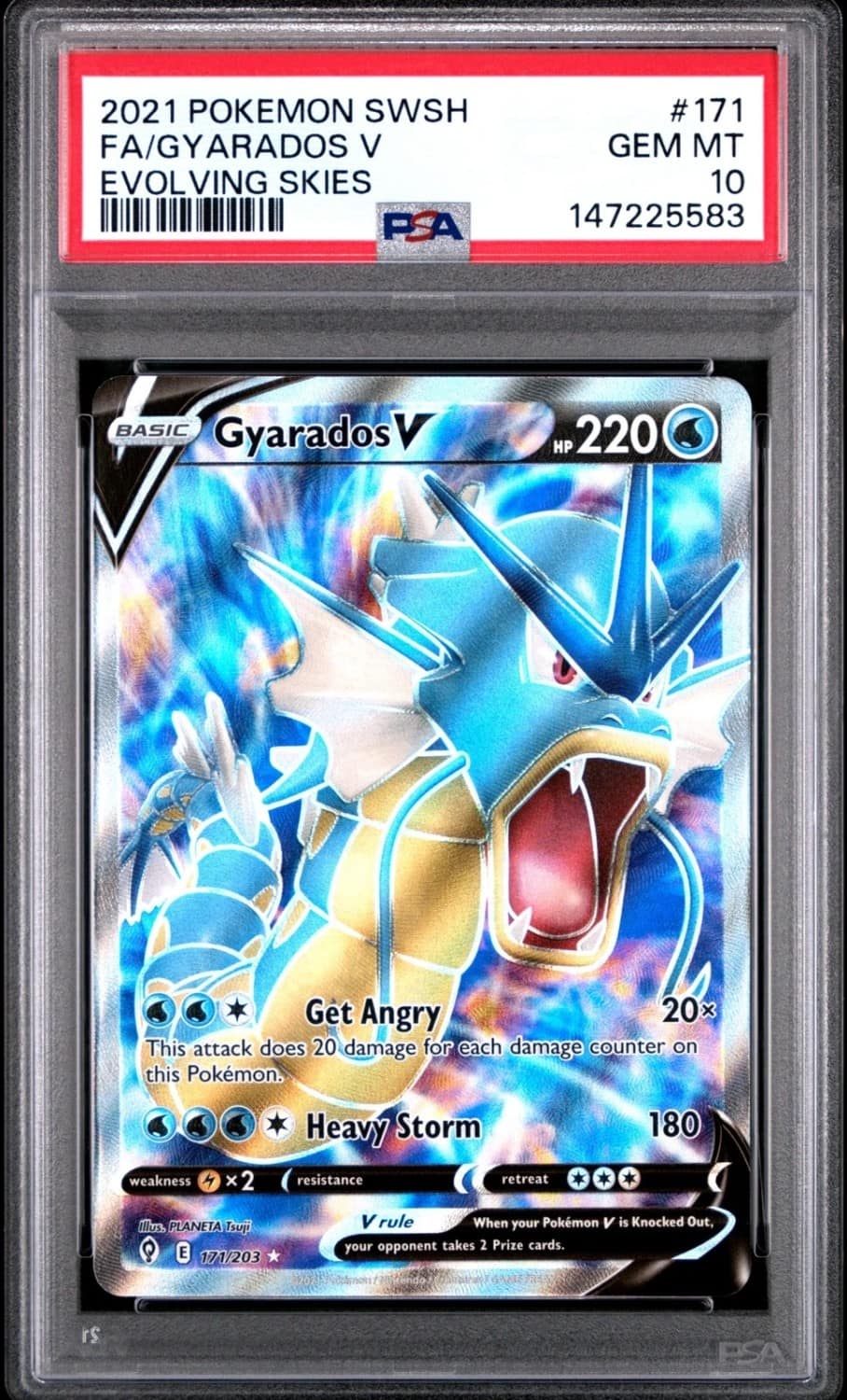 Gyarados V