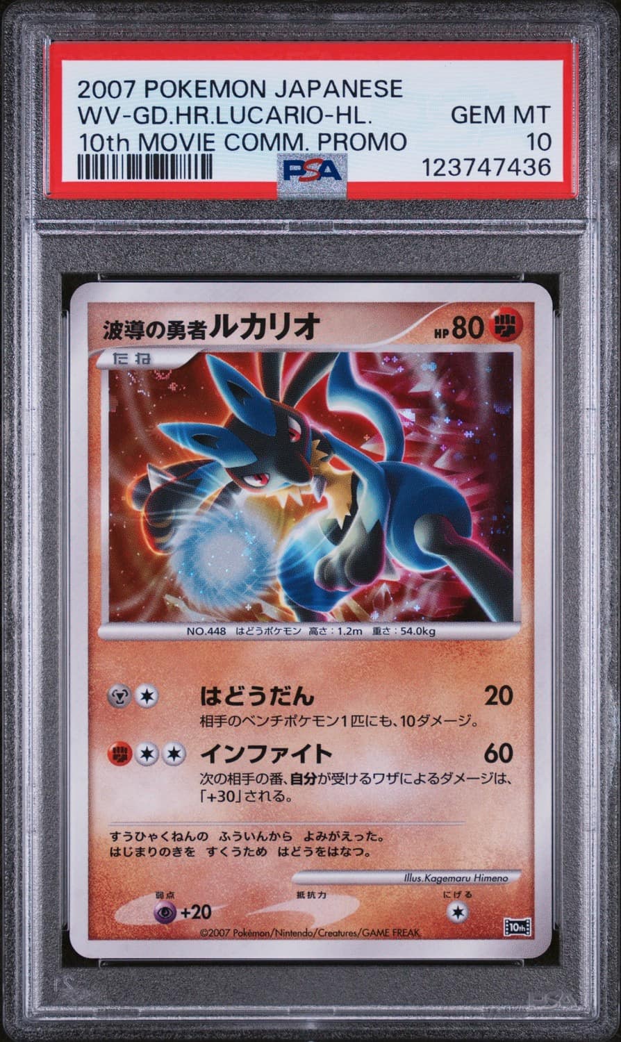 Wave-Guiding Hero Lucario