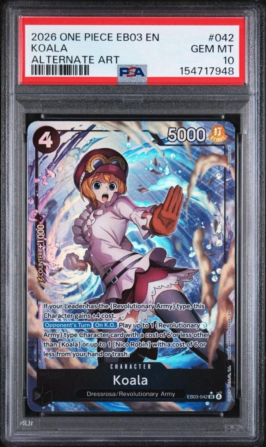 Koala