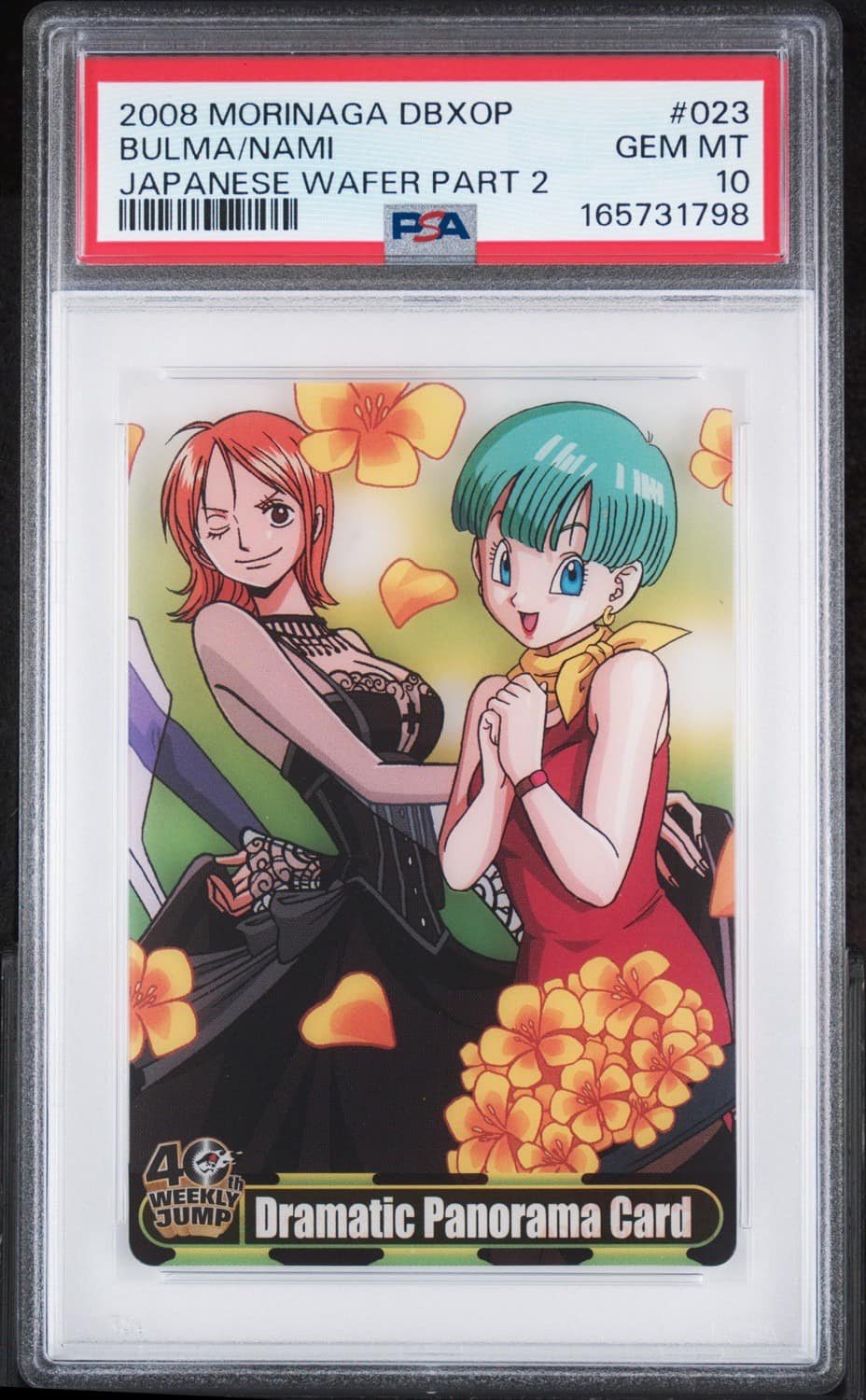 Bulma/nami
