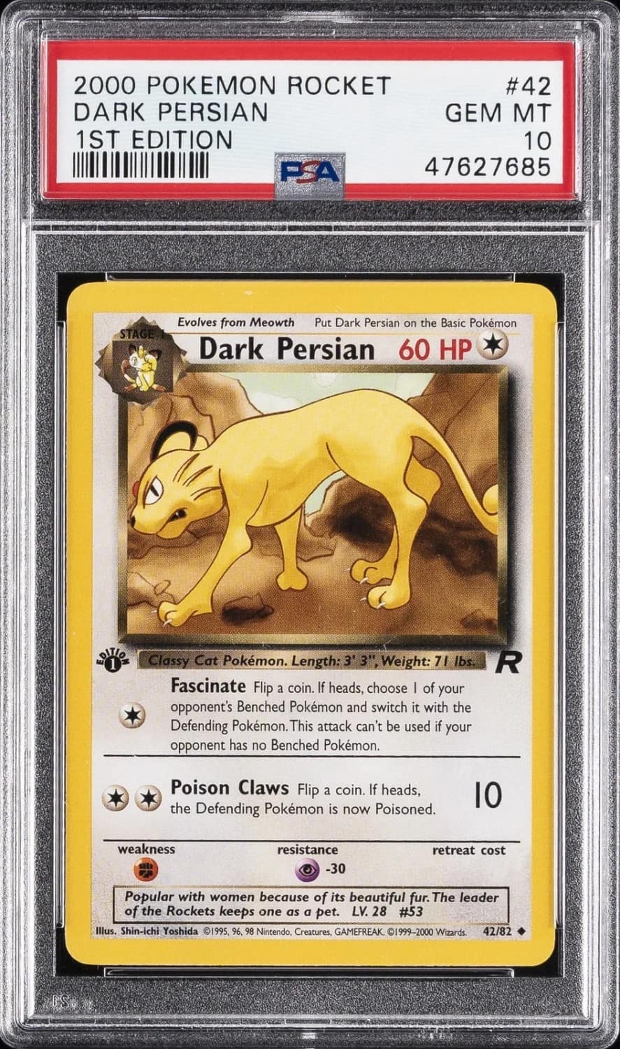 Dark Persian