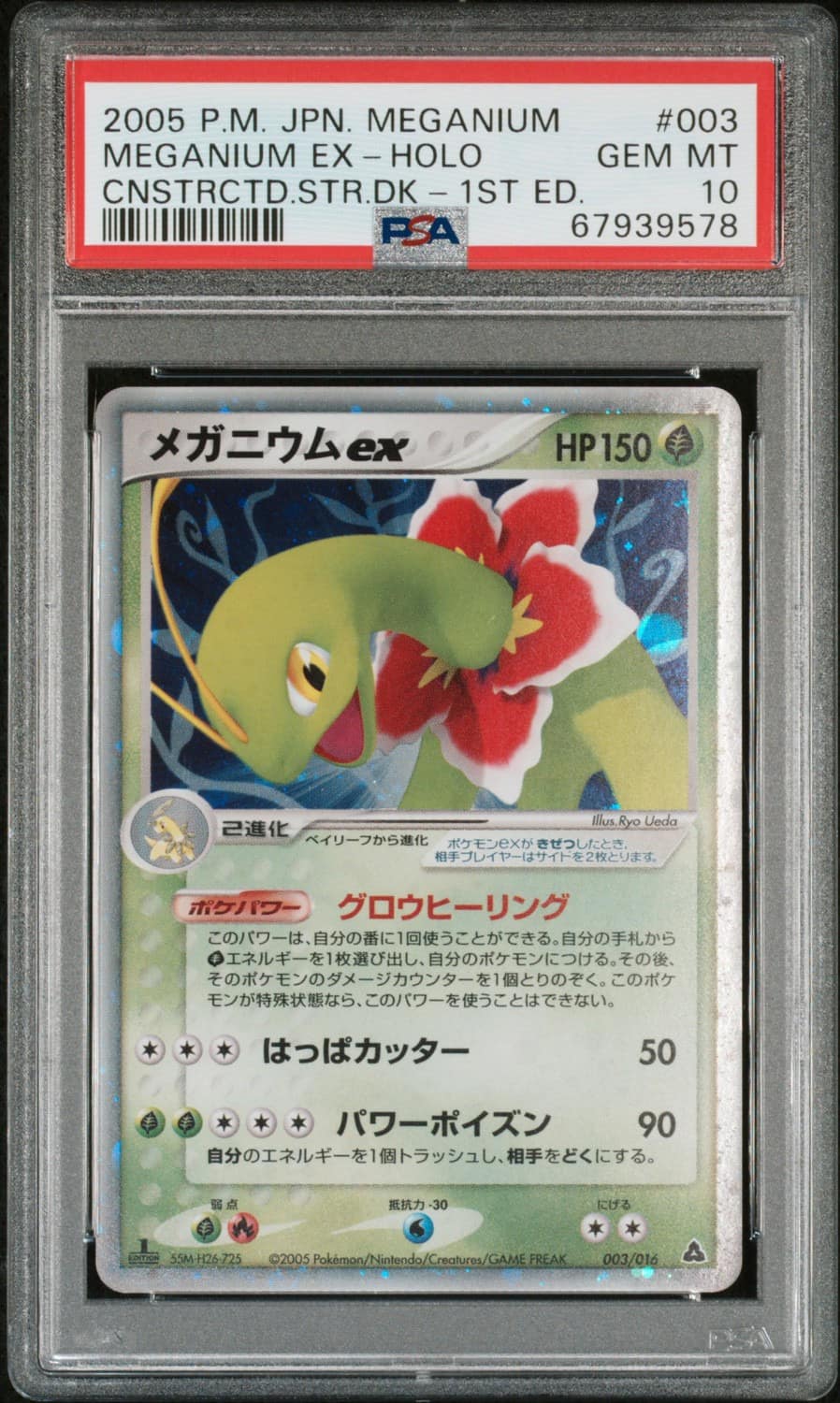 Meganium Ex