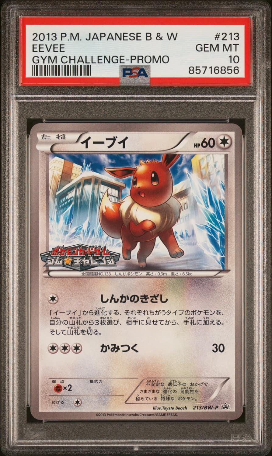 Eevee