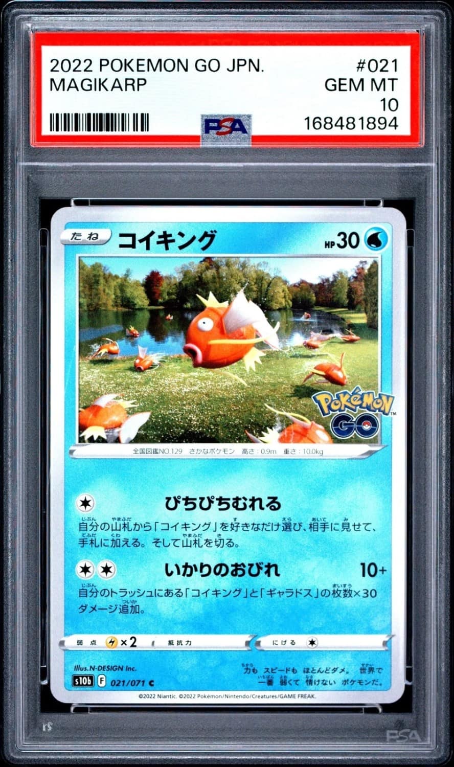 Magikarp