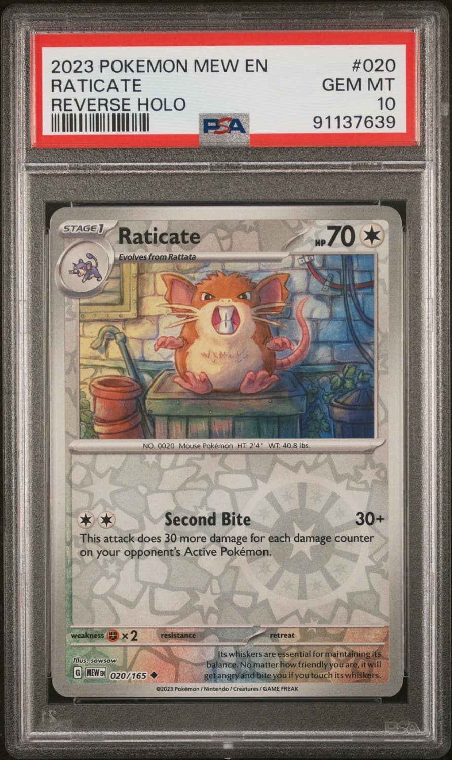 Raticate