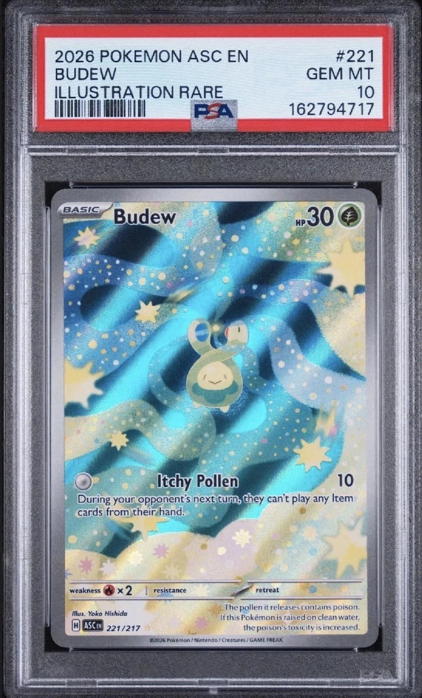 Budew