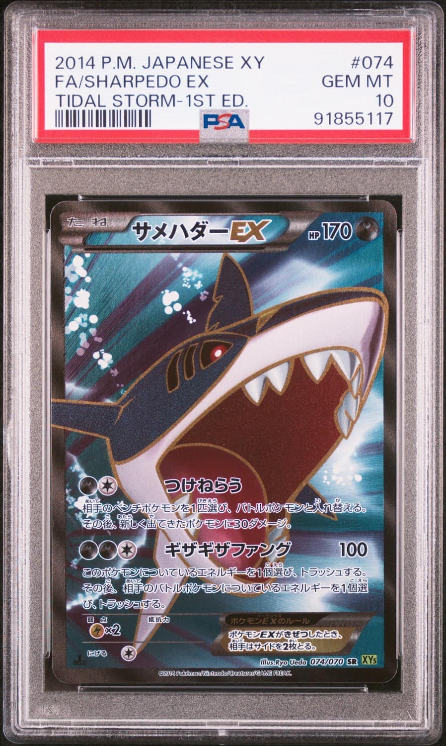 Sharpedo Ex
