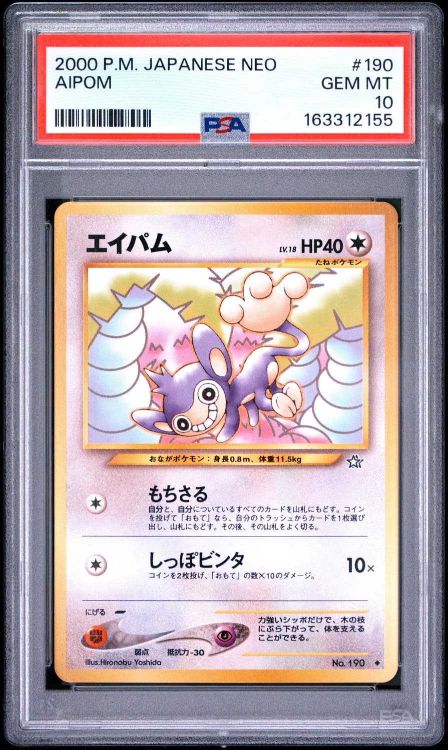 Aipom