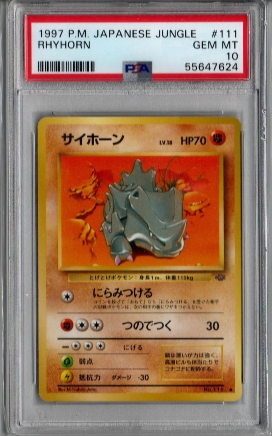 Rhyhorn